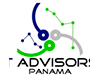 IT Advisors